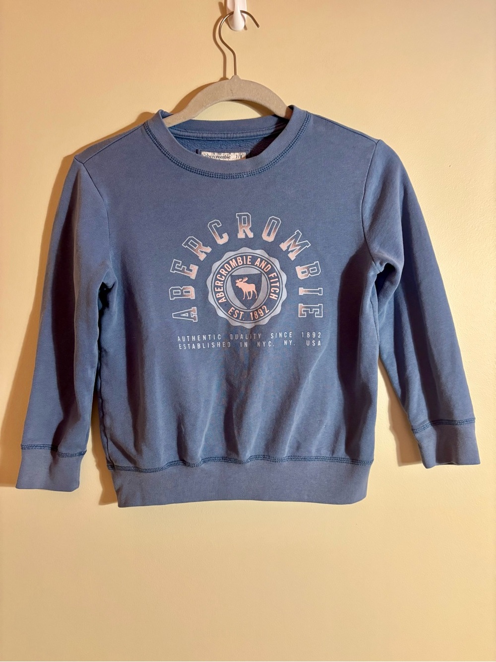 Abercrombie Kids Blue Graphic Crewneck Sweatshirt Girls size 7/8